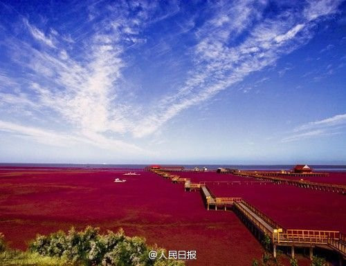 (Nguồn: Nhân dân nhật báo)