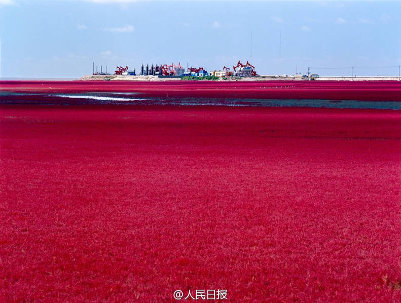 (Nguồn: Nhân dân nhật báo)