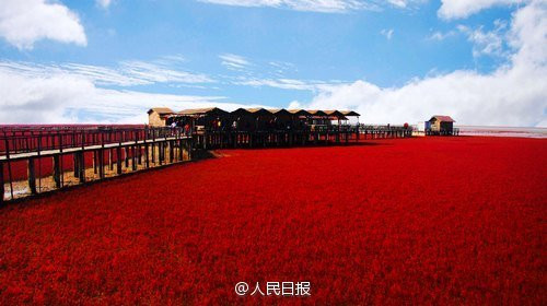 (Nguồn: Nhân dân nhật báo)