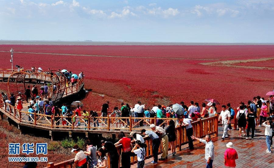 Mỗi năm khi mùa Thu đến, du khách lại tấp nập đổ về vùng đầm lầy mang tên biển đỏ ở thành phố Bàn Cẩm, tỉnh Liêu Ninh, Đông Bắc Trung Quốc. Màu đỏ của biển nơi đây không đến từ cát, mà đến từ một loài cỏ biển màu đỏ tươi gọi là Suaeda. (Nguồn: xinhua)