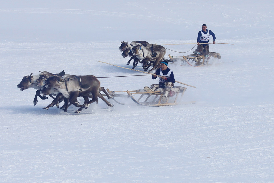 Các nài hươu tranh tài gay cấn trên đường đua. (Ảnh: Trần Hiếu/TTXVN)
