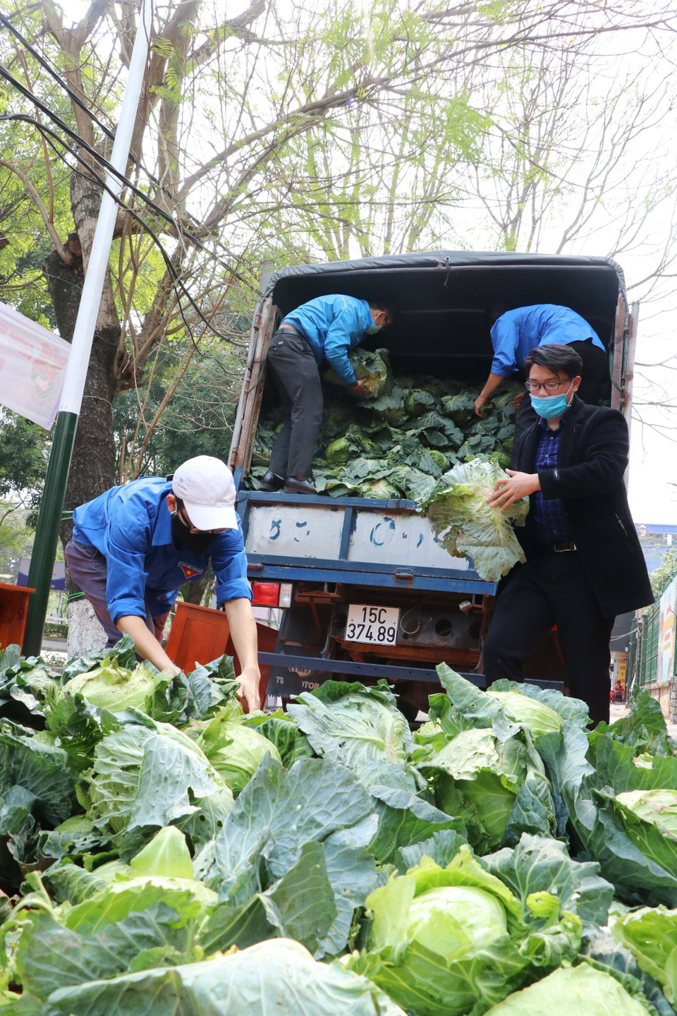 Thanh niên tình nguyện thành phố Hải Phòng thu mua, vận chuyển, tiêu thụ hộ nông sản của bà con nông dân do ảnh hưởng của dịch COVID-19 (2021). (Ảnh: TTXVN phát)