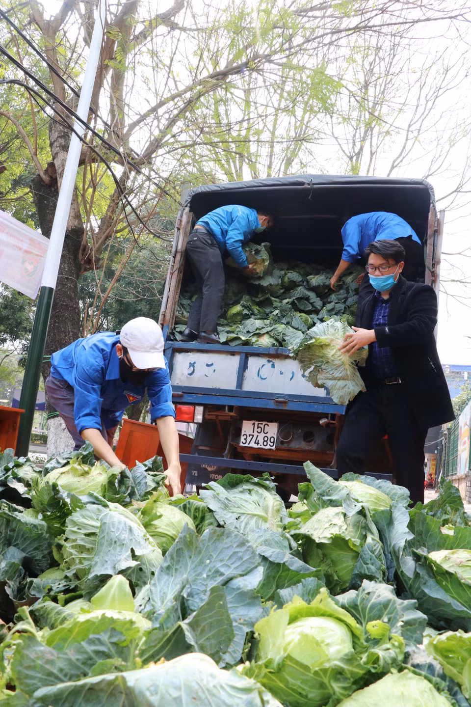 Thanh niên tình nguyện thành phố Hải Phòng thu mua, vận chuyển, tiêu thụ hộ nông sản của bà con nông dân do ảnh hưởng của dịch COVID-19 (2021). (Ảnh: TTXVN phát)