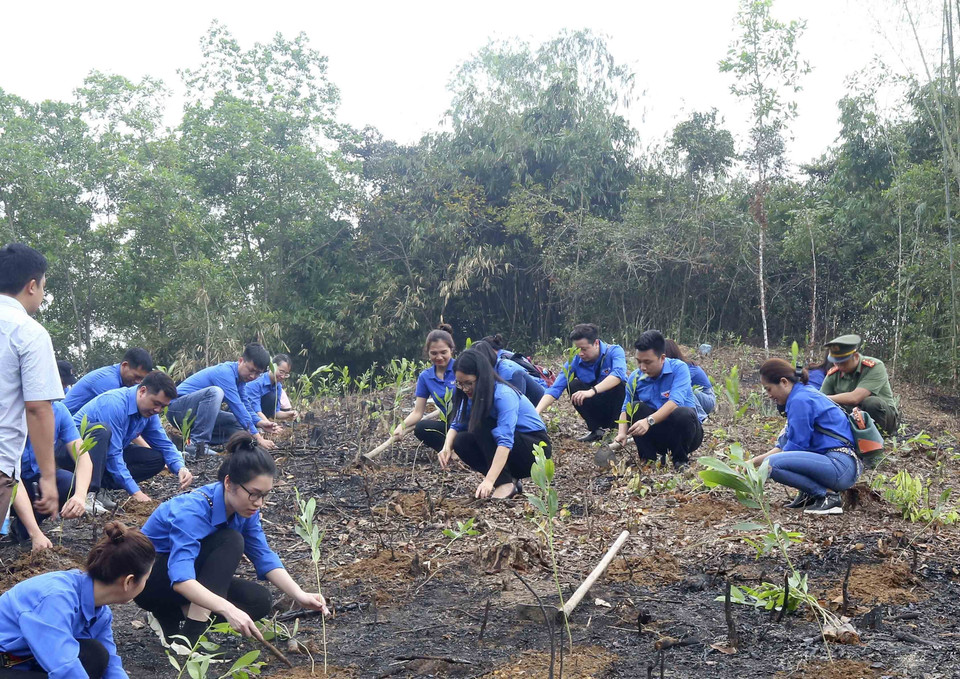 Đoàn viên, thanh niên TTXVN trồng cây hưởng ứng Tết trồng cây năm 2021 và chương trình trồng 1 tỷ cây xanh. (Ảnh: Tuấn Đức/TTXVN)