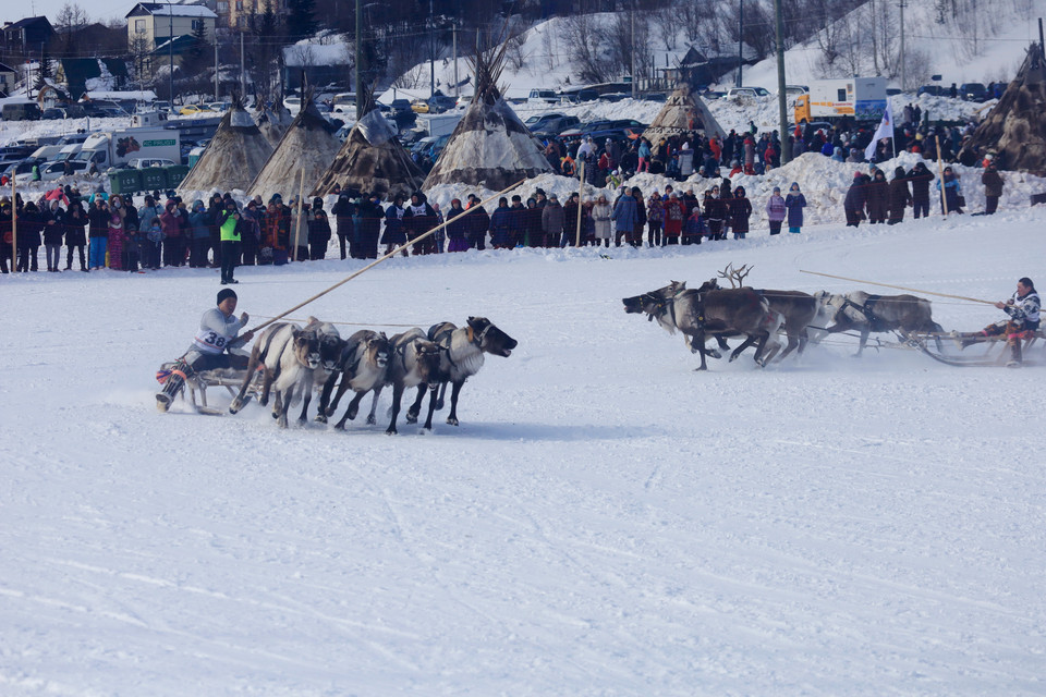 Đông đảo khán giả theo dõi và cổ vũ cho các vận động viên tham gia cuộc đua xe hươu kéo trượt tuyết tại lễ hội. (Ảnh: Trần Hiếu/TTXVN)