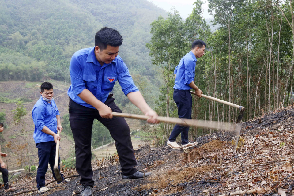 Đoàn viên, thanh niên TTXVN trồng cây hưởng ứng Tết trồng cây năm 2021 và chương trình trồng 1 tỷ cây xanh. (Ảnh: Tuấn Đức/TTXVN)