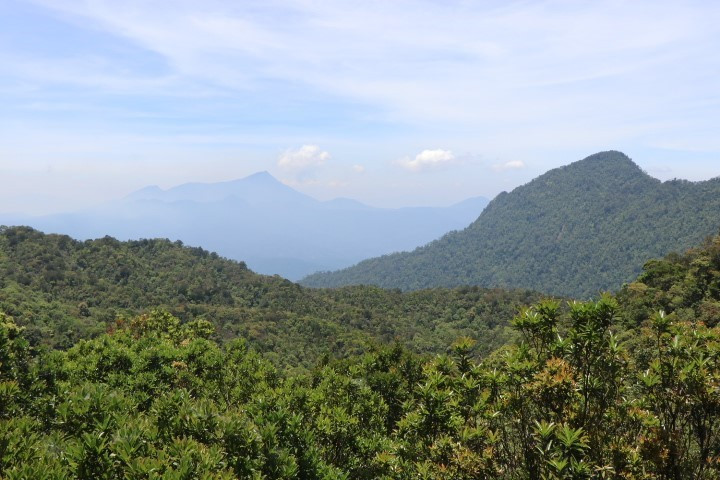 Khung cảnh hùng vĩ, hoang sơ của Vườn quốc gia Bạch Mã. (Ảnh: Đỗ Trưởng/TTXVN)