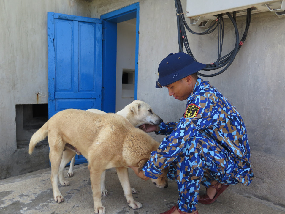 Những giây phút thư giãn hiếm hoi của chiến sỹ ở đảo Đá Nam, quần đảo Trường Sa cùng với những vật nuôi trên đảo. (Ảnh: Phan Sáu-Sỹ Tuyên-Thắng Trung/TTXVN)
