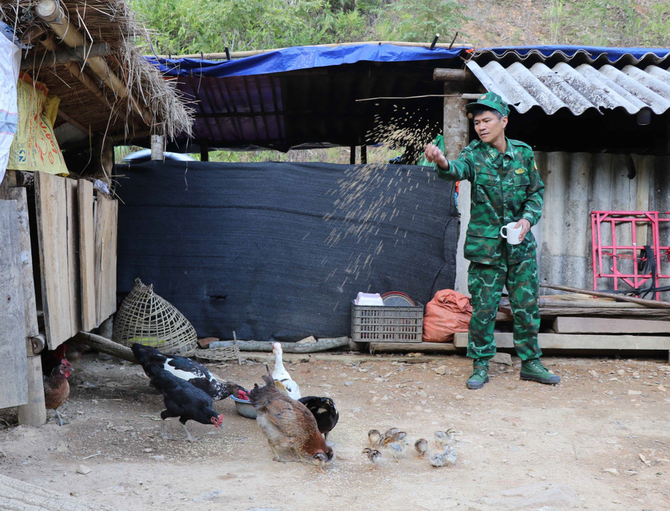 Chiến sỹ biên phòng tỉnh Điện Biên công tác tại các tổ chốt phòng chống dịch COVID-19 còn tăng gia nuôi gia súc, gia cầm để phục vụ tại chỗ anh em chiến sỹ. (Nguồn: TTXVN)