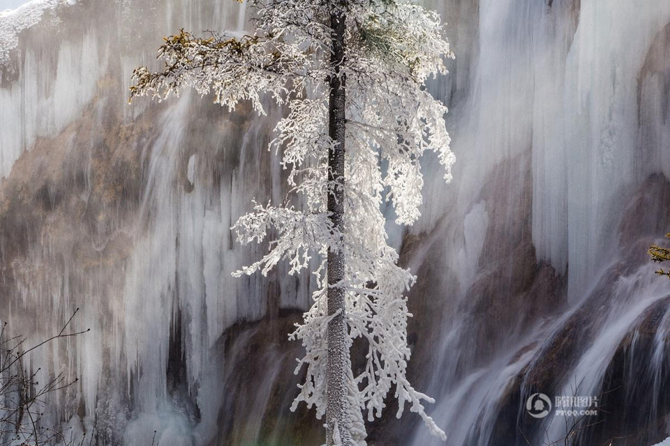 Trung Quốc đang trải qua đợt giá lạnh tồi tệ nhất trong nhiều thập kỷ gần đây với nhiệt độ tại nhiều nơi xuống dưới âm 40 độ C. Hình ảnh này được chụp tại khu du lịch Cửu Trại Câu của Tứ Xuyên, Tây Nam Trung Quốc khi đang ở nhiệt độ -22 độ C. (Nguồn: QQ)