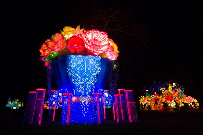 Đèn lồng với hình dáng bó hoa được thắp sáng rực rỡ tại khu vườn Chiswick House, London, Anh ngày 29/1. (Nguồn: AFP/TTXVN)