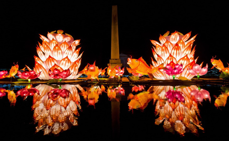 Đèn lồng với hình dáng hoa sen và cá chép được thắp sáng rực rỡ tại khu vườn Chiswick House, London, Anh ngày 29/1. (Nguồn: AFP/TTXVN)