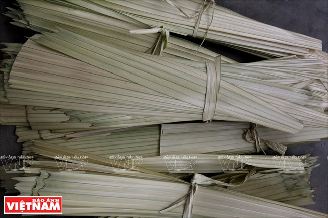 Nguyên liệu lá dùng để làm nón là lá non của cây Bồ Quy Diệp, sau khi hái trên rừng đem về phơi sương rồi nức vàng và ủi cho phẳng.