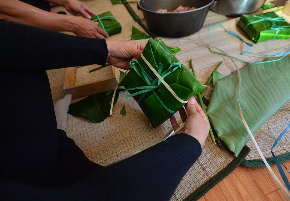 Gói bánh chưng bằng lá bàng vuông. (Ảnh: Văn Dũng/TTXVN)