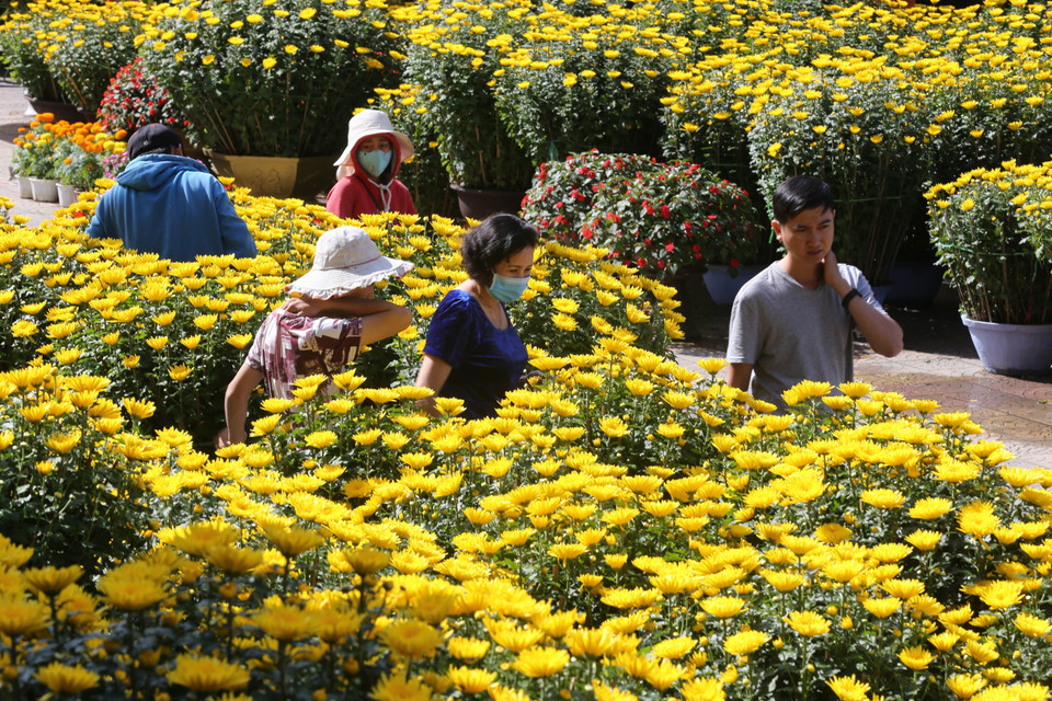 Chợ hoa Tết tại nhà văn hóa trung tâm thành phố Huế. (Ảnh: Hồ Cầu/TTXVN)