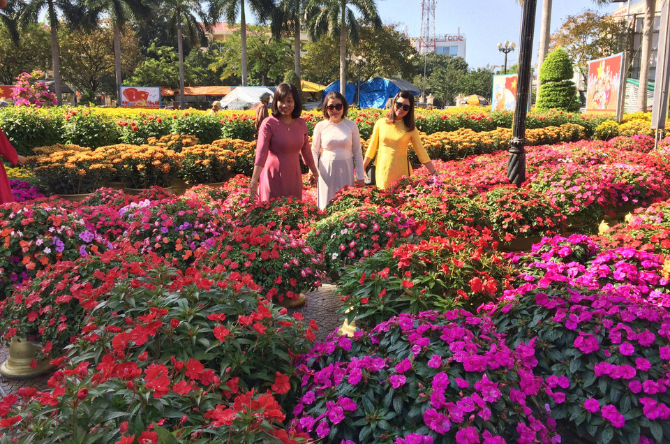 Chợ hoa tết tại Nhà văn hóa trung tâm thành phố Huế. (Ảnh: Hồ Cầu/TTXVN)