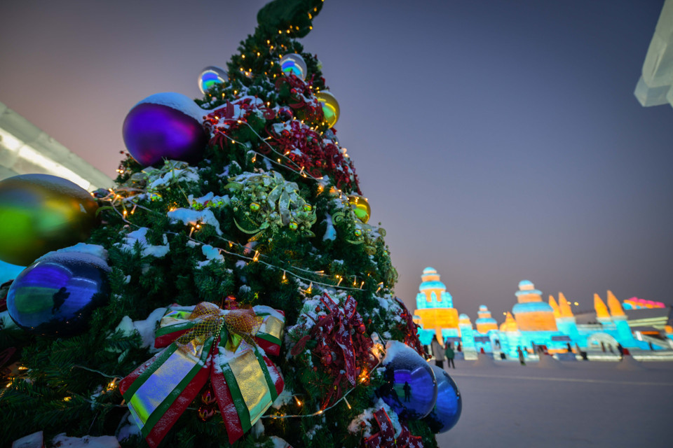 Cây thông được trưng bày tại Lễ hội Băng đăng Quốc tế ở Cáp Nhĩ Tân, tỉnh Hắc Long Giang, Trung Quốc, ngày 5/1/2020. (Nguồn: THX/TTXVN)