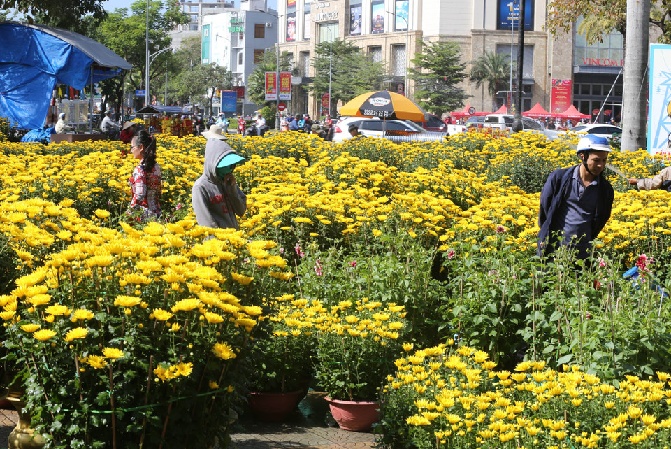 Chợ hoa Tết tại nhà văn hóa trung tâm thành phố Huế. (Ảnh: Hồ Cầu/TTXVN)