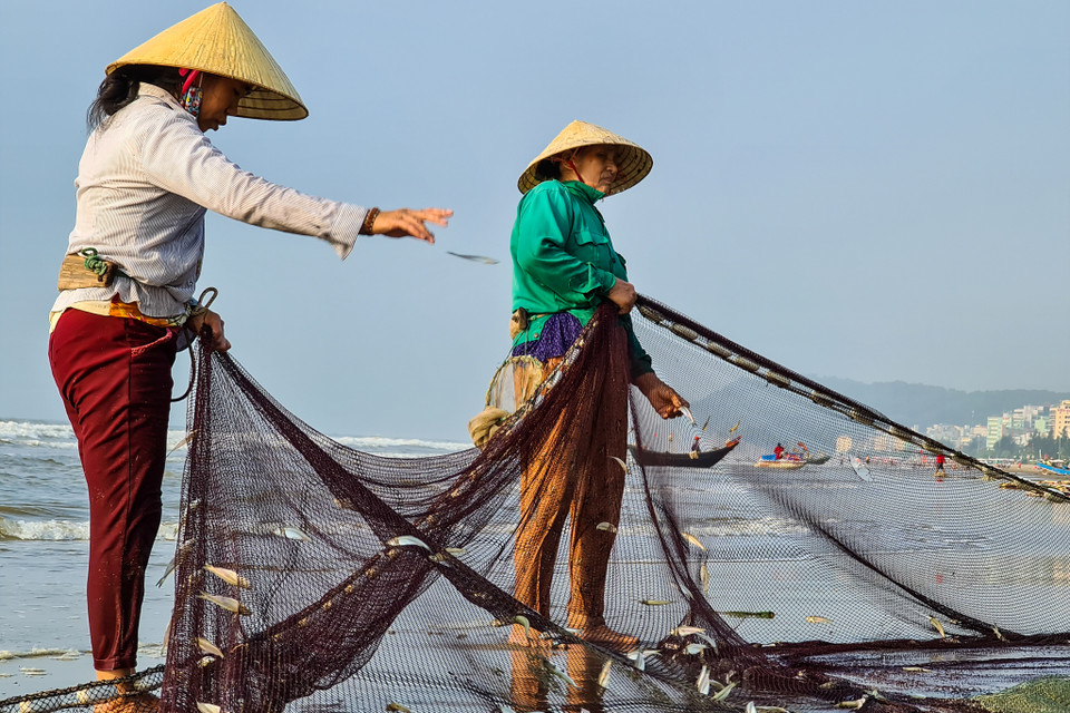 Người dân phụ kéo lưới vào bờ, gỡ lưới, phân loại cá, tôm mực rồi bán. (Nguồn: Vietnam+)