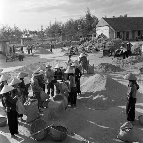 Ở nông thôn, phong trào chăm bón đồng ruộng, tăng năng suất, sản lượng, thi đua bán nhiều lương thực, thực phẩm cho Nhà nước được nông dân đẩy mạnh. Trong ảnh: Xã viên Hợp tác xã Mễ Trì Thượng, huyện Từ Liêm (ngoại thành Hà Nội) tích cực tăng gia sản xuất (năm 1970). (Ảnh: Văn Bảo/TTXVN)