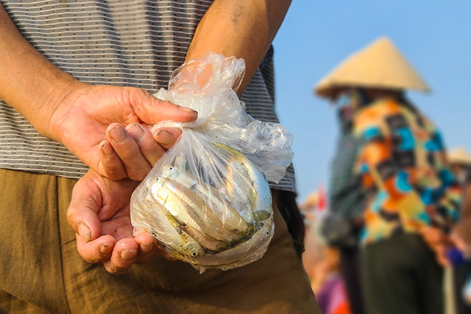 Nhịp sống của làng chài trăm năm lại bừng thức giấc sau một đêm dài yên ả. (Nguồn: Vietnam+)