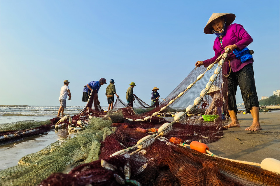 Người dân kéo lưới vào bờ. (Nguồn: Vietnam+)