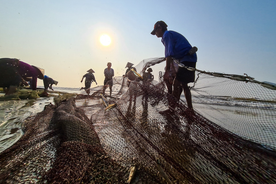 Người dân phụ kéo lưới vào bờ, gỡ lưới, phân loại cá, tôm mực rồi bán. (Nguồn: Vietnam+)