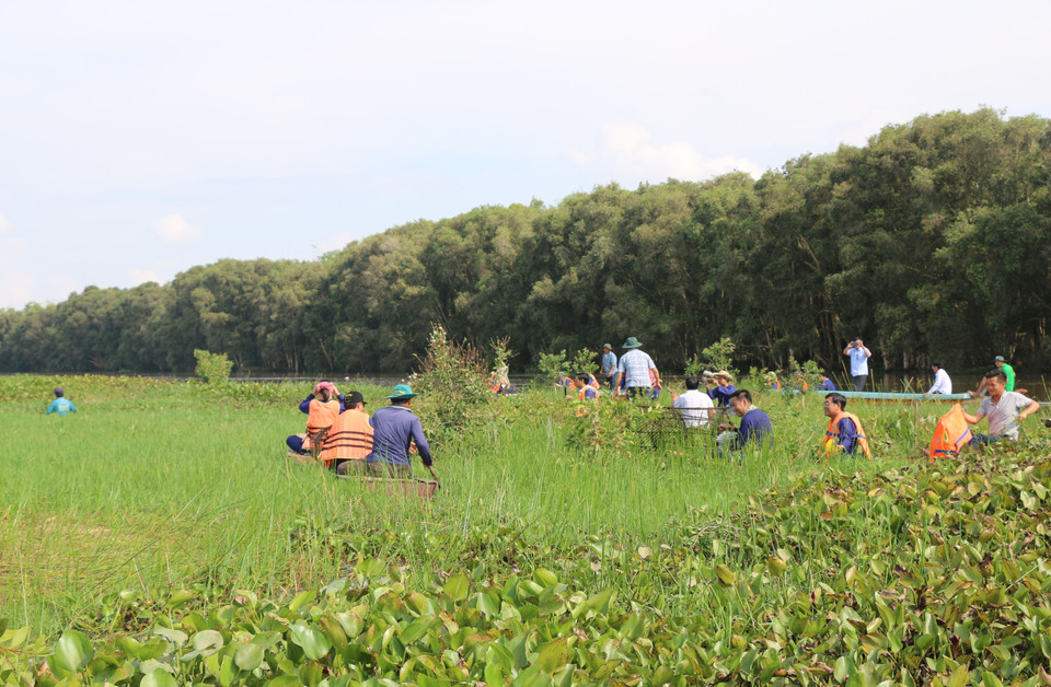 Khách du lịch trải nghiệm làm ngư dân tại Vườn Quốc gia Tràm Chim (huyện Tam Nông, Đồng Tháp). (Ảnh: Chương Đài/TTXVN)