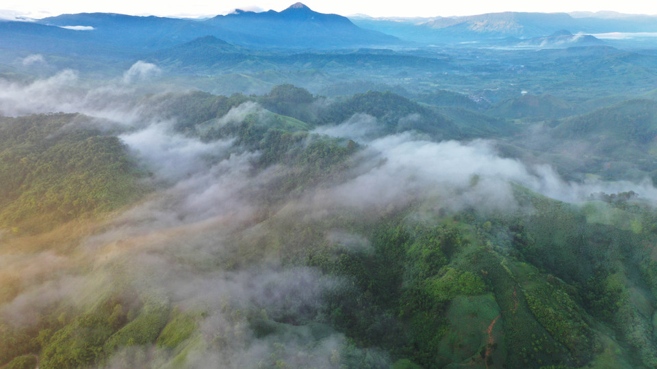 Sương bồng bềnh bao phủ núi rừng Pa Nang. (Ảnh: Hồ Cầu/TTXVN)
