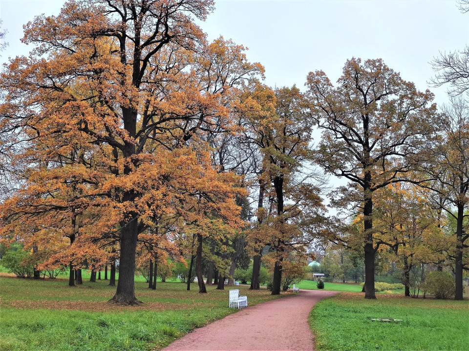 Mùa thu thấm đẫm từng góc nhỏ trong công viên Ekaterina. (Ảnh: Duy Trinh/TTXVN)