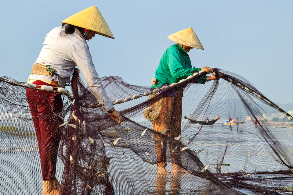 Nhịp sống của làng chài trăm năm lại bừng thức giấc sau một đêm dài yên ả. (Nguồn: Vietnam+)