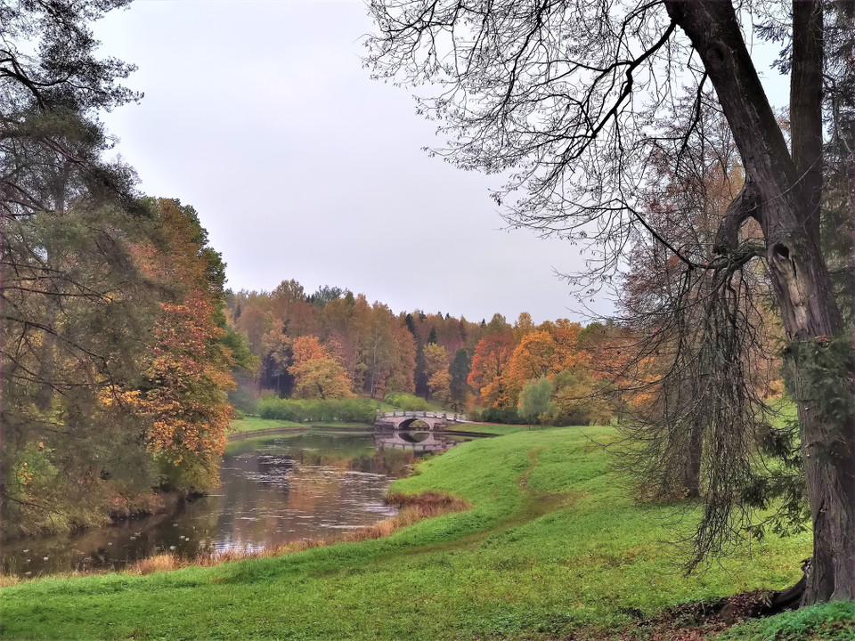 Khung cảnh hữu tình trong Công viên Pavlov. (Ảnh: Duy Trinh/TTXVN)