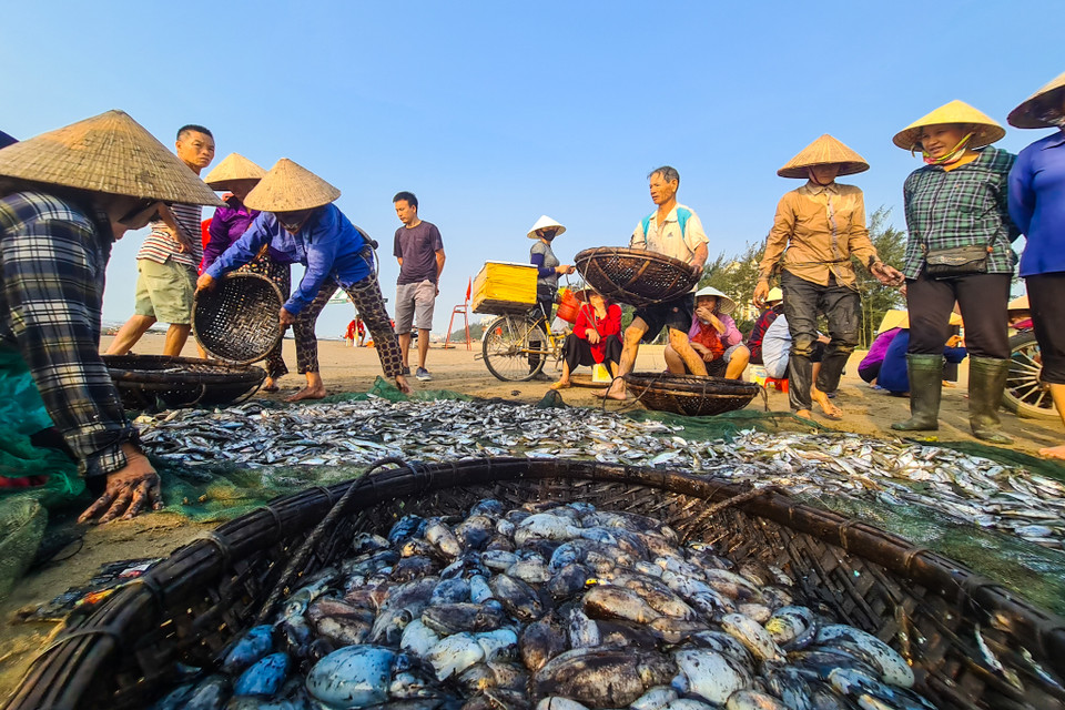 Người dân làng chài phân loại cá. (Nguồn: Vietnam+)