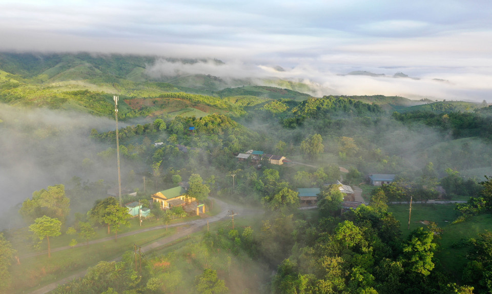 Từ trên các đỉnh núi cao, du khách có thể ngắm nhìn bình minh với biển mây bồng bềnh trên những cánh rừng tự nhiên để cảm nhận hết vẻ đẹp mê hồn của cảnh sắc nơi đây. (Ảnh: Hồ Cầu/TTXVN)