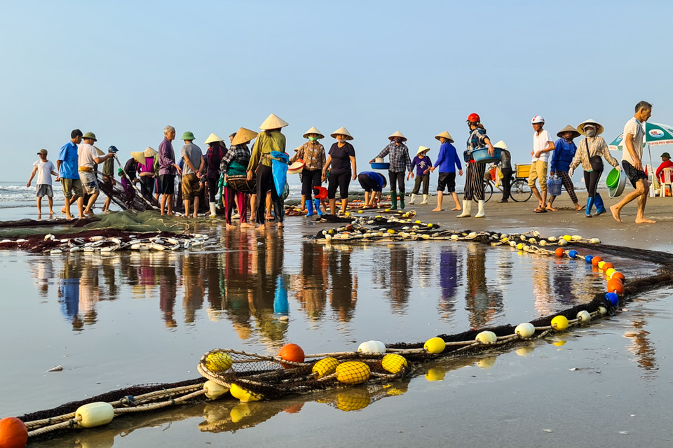 Cảnh mua bán tấp nập xôn xao cả một góc bờ biển. (Nguồn: Vietnam+)