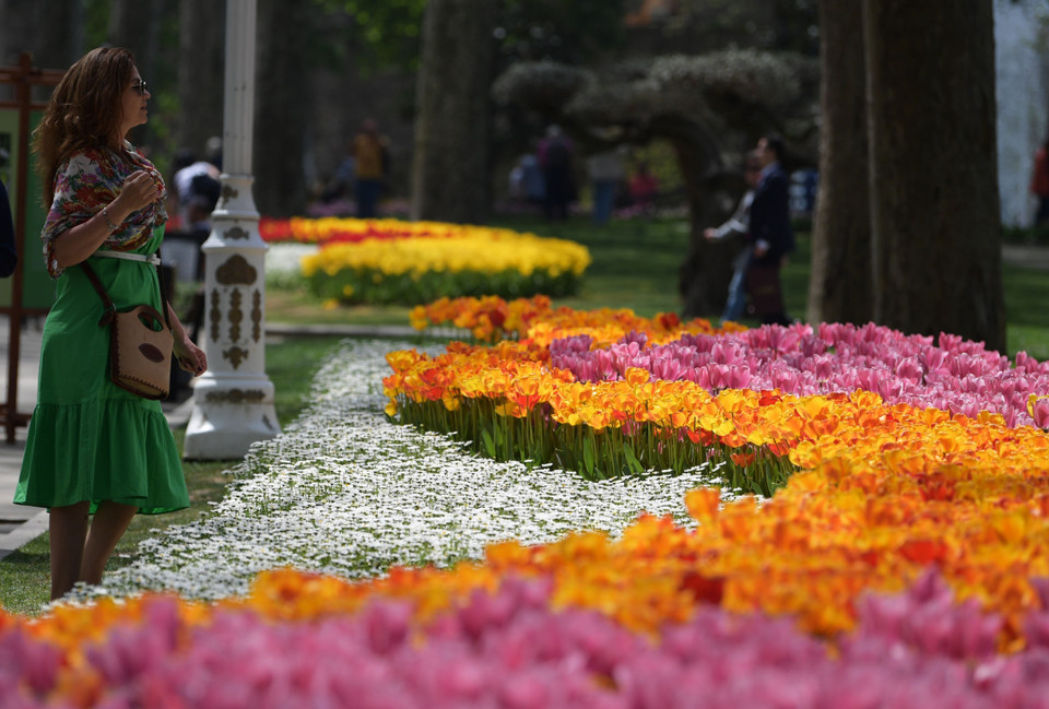 Các loại hoa tulip đua nhau khoe sắc tại Lễ hội hoa tulip ở Istanbul, Thổ Nhĩ Kỳ, ngày 25/4/2022. (Ảnh: THX/TTXVN)