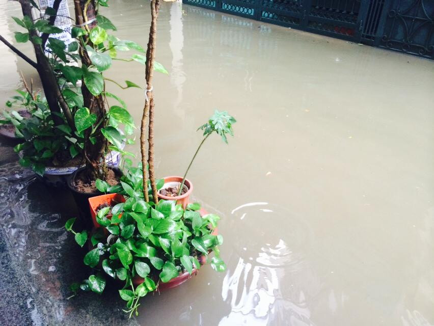 Vùng mây đối lưu vẫn đang phát triển và sẽ tiếp tục gây mưa rào và dông cho khu vực Hà Nội và có thể lan sang các vùng lân cận trong sáng nay. (Nguồn: Vietnam+)