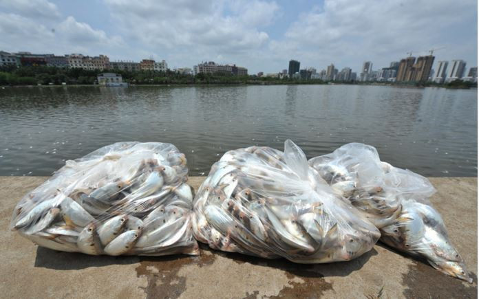 (Nguồn: huanqiu.com)