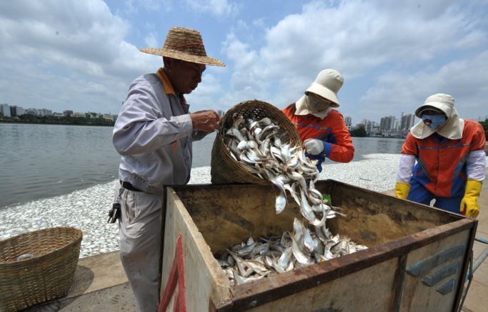 (Nguồn: huanqiu.com)