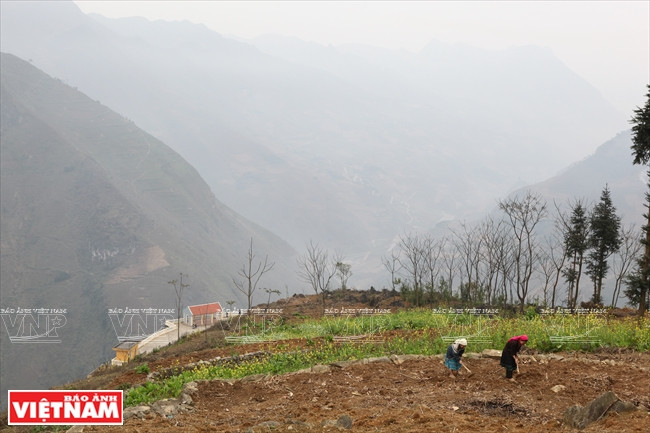 Người dân thổ canh ngay trên đỉnh Mã Pí Lèng. (Ảnh: Tất Sơn/Báo ảnh Việt Nam)