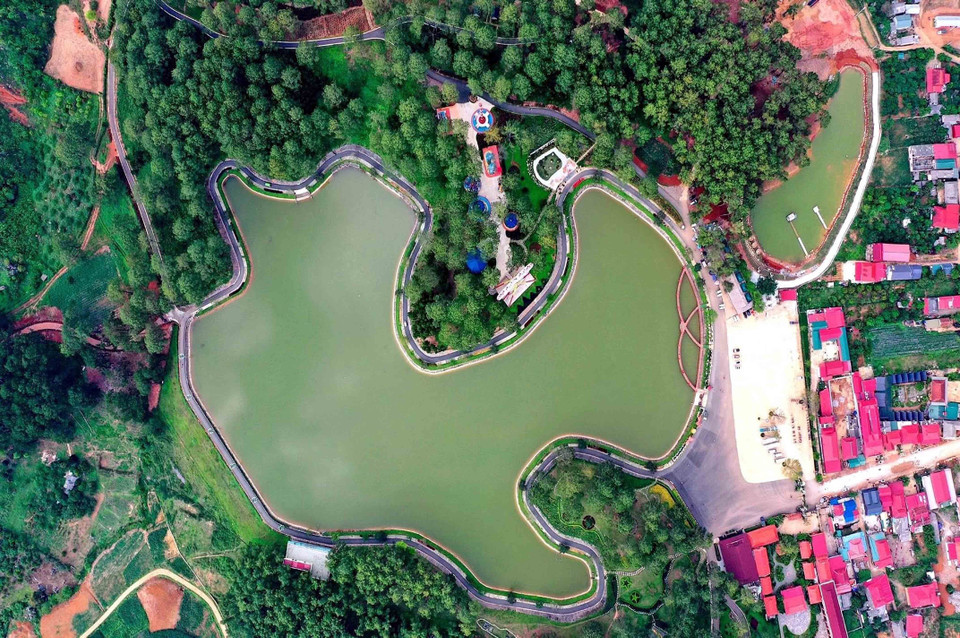 Khu du lịch Rừng thông bản Áng tại xã Đông Sang, huyện Mộc Châu (Sơn La). (Ảnh: Quang Quyết/TTXVN)