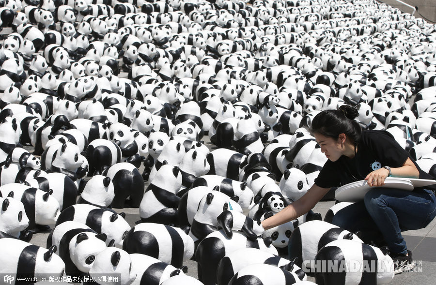 Loài gấu trúc đang đứng trước nguy cơ tuyệt chủng. (Nguồn: Chinadaily)