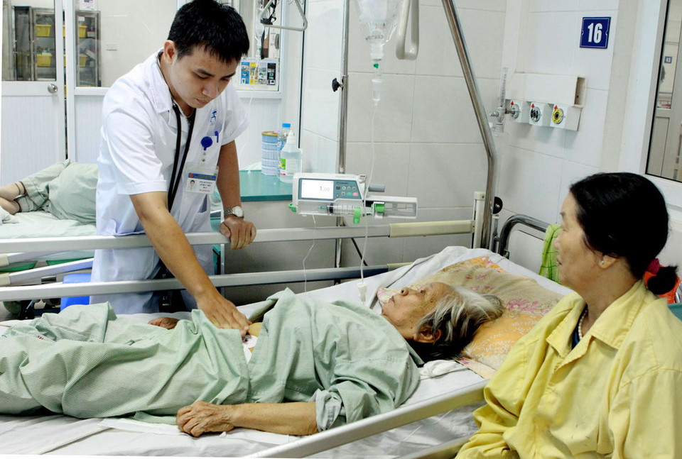 (Ảnh: Dương Ngọc/TTXVN)