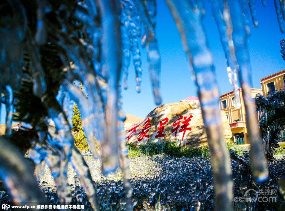 Sáng sớm ngày 11/5, người dân Túc Nam, tỉnh Cam Túc, Tây Bắc Trung Quốc chứng kiến cảnh tượng đẹp mắt khi cây cối được phủ đầy băng như pha lê. (Nguồn: CCTV)