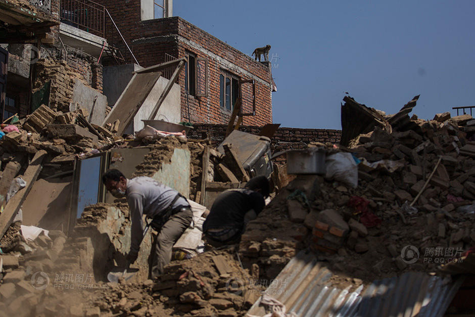 Một chú khỉ đứng trên cao nhìn những người dân tìm đồ đạc trong đống đổ nát. (Nguồn: QQ)