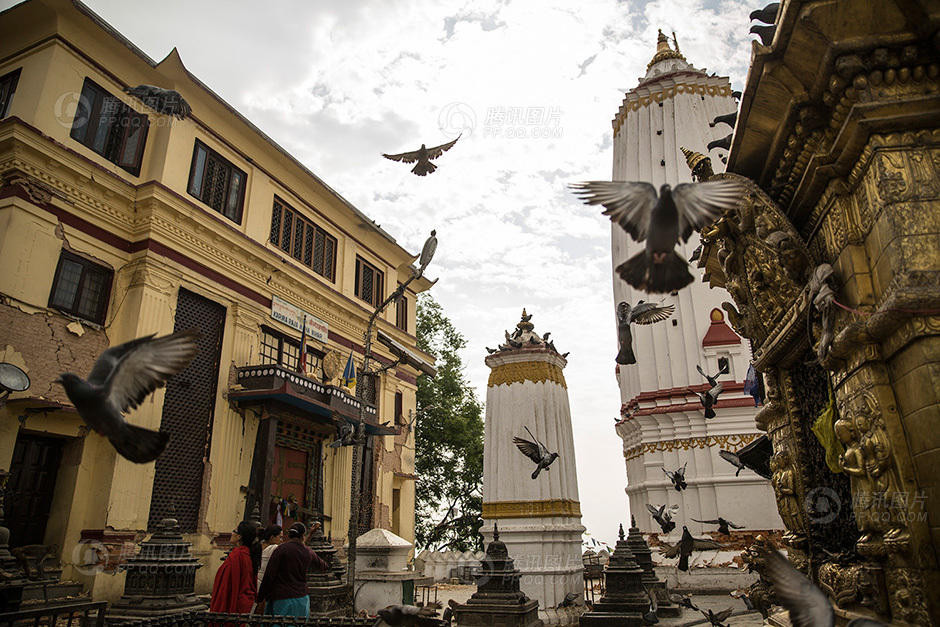 Những con chim bồ câu bay xung quanh một ngôi chùa ở Kathmandu. Đây được cho là hình ảnh yên bình nhất còn sót lại sau động đất. (Nguồn: QQ)