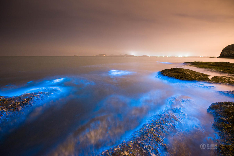 Tháng 4/2014, hiện tượng này lần đầu tiên xuất hiện ở bờ biển Đại Liên, Trung Quốc. (Nguồn: 163)