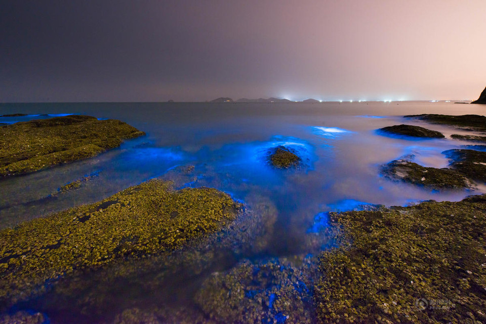 Hiện tượng này còn xuất hiện ở Australia, Puerto Rico, Maldives, trong đó nổi tiếng nhất là đảo Vieque thuộc Puerto Rico. (Nguồn: 163)