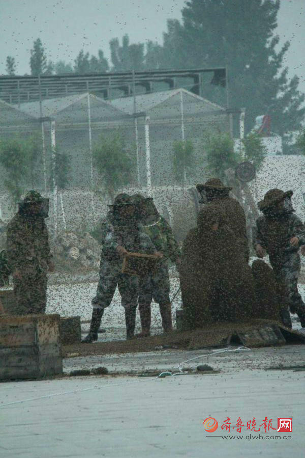 "Bộ quần áo ong" này nặng 109,05kg vượt kỷ lục trước đây là 85,5kg. Mỗi kg tương đương với hàng chục nghìn con ong. (Nguồn: QQ)