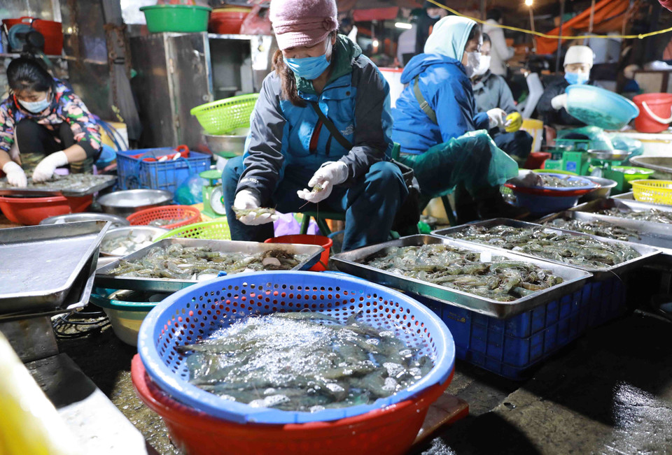 Tiểu thương chuẩn bị nguồn thực phẩm tại chợ Nam Hà Nội. (Ảnh: Vũ Sinh/TTXVN)